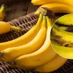 Banány nezčernají celé týdny: jednoduchý trik, o kterém ví jen málokdo Banány nezčernají celé týdny: jednoduchý trik, o kterém ví jen
