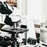 Byl nalezen způsob, jak "naprogramovat" tukovou tkáň ke spalování energie. byl-nalezen-zpusob-jak-naprogramovat-tukovou-tkan-ke-spalovani-energie.jpg