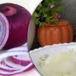 Jak marinovat cibuli pro "Shuba" - rychlý a snadný recept