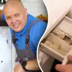 Jak vyčistit pračku od plísní a zápachu: tipy odborníka, jak