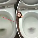 Jeden výrobek vybělí vaši záchodovou mísu do zářivého lesku: jak si poradit se zubním plakem a nečistotami za 15 minut Jeden výrobek vybělí vaši záchodovou mísu do zářivého lesku: jak