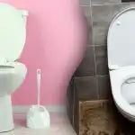 Minuta práce: jednoduchý trik vám zajistí dokonale čistou toaletu přímo