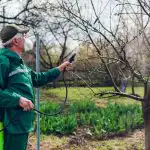 Moudří zahradníci postříkali zahradu jedním přípravkem: neonemocněl ani jeden stromek