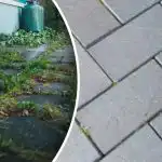 Plevel na zahradě zmizí přes noc, když ho postříkáte jedním