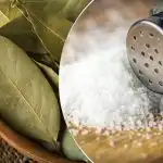 Proč dát bobkový list do citronu: nečekaný, ale účinný lifehack