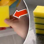 Proč dát houbu do mrazáku: jednoduchý trik odstraní obrovský problém