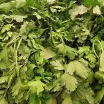 Tajemství čerstvých bylinek: na co se zaměřit při jejich nákupu tajemstvi-cerstvych-bylinek-na-co-se-zamerit-pri-jejich-nakupu.jpg