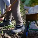 Výsevní kalendář na září 2025: co dělat na zahradě a