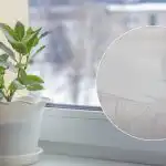 Výsledek vás ohromí: recept na prostředek, který vybělí plastový parapet.